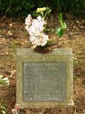 image of grave number 51288